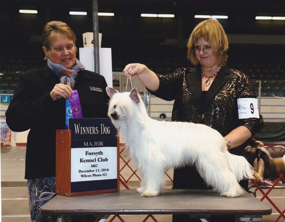 Belews Wanna Be Like Mike