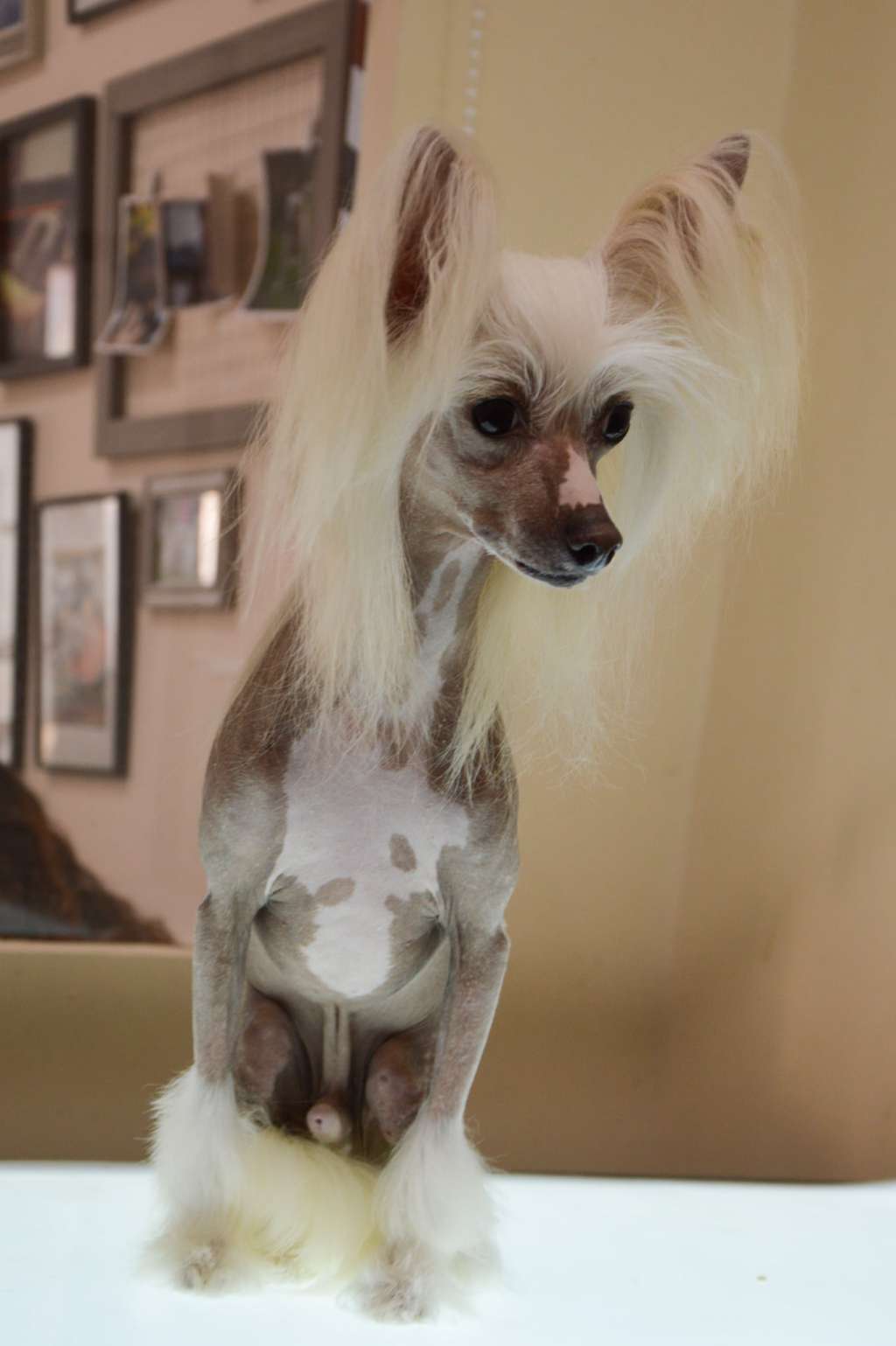 CrystalHeart Guardian Loveland Fantasy