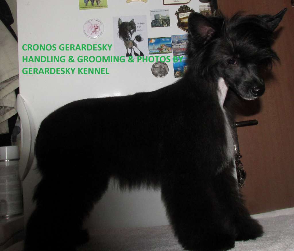 Cronos Gerardesky