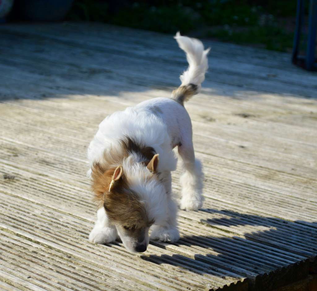 By Paris von Shinbashi