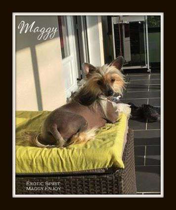 Exotic Spirit Maggy Enjoy
