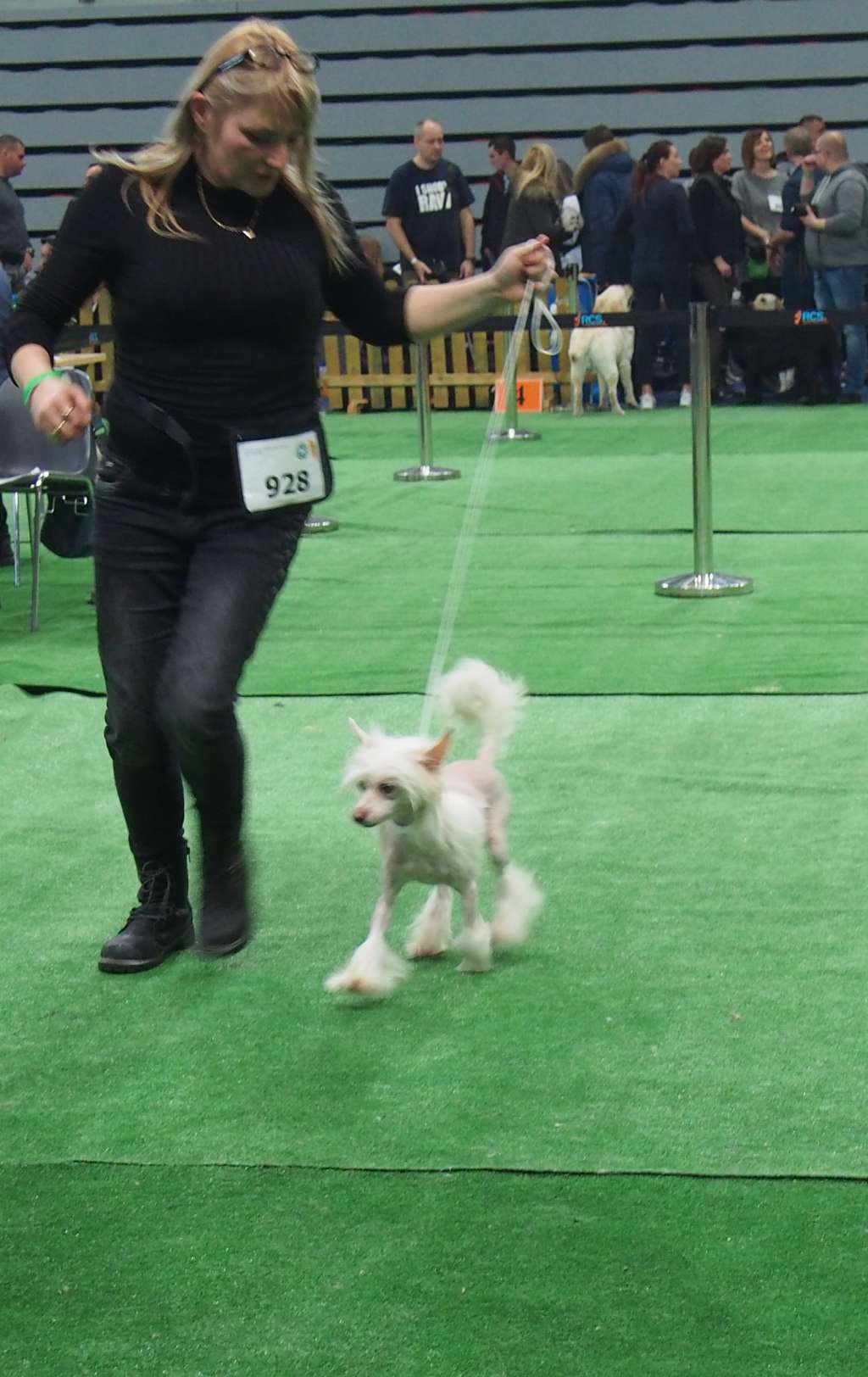 Finezja Grzywkomania