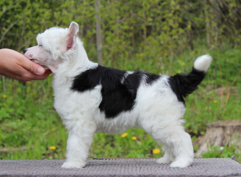 Maybell's X-Tremely Handsome Boy