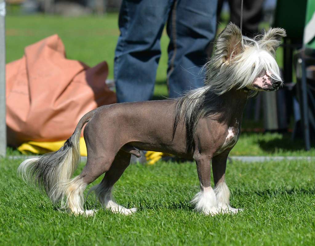 Maybell's Your Majesty