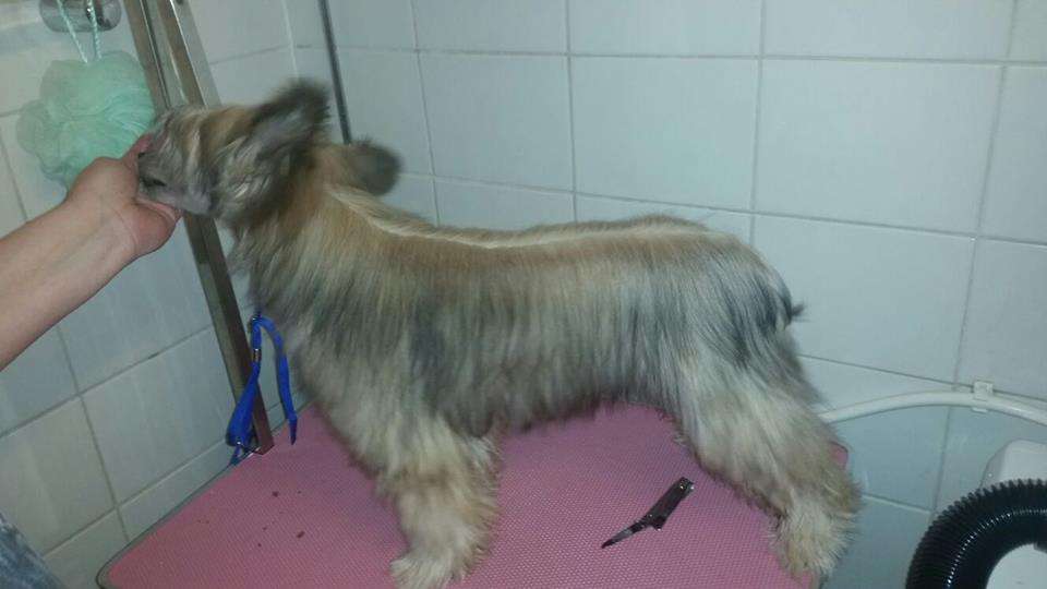 Black-Diva's Hey U I'm Miss Vite