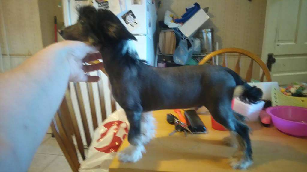 Peace and Harmony at Gardine