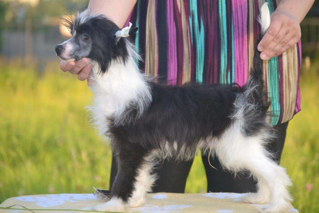 Ketrin Kristol Dayver