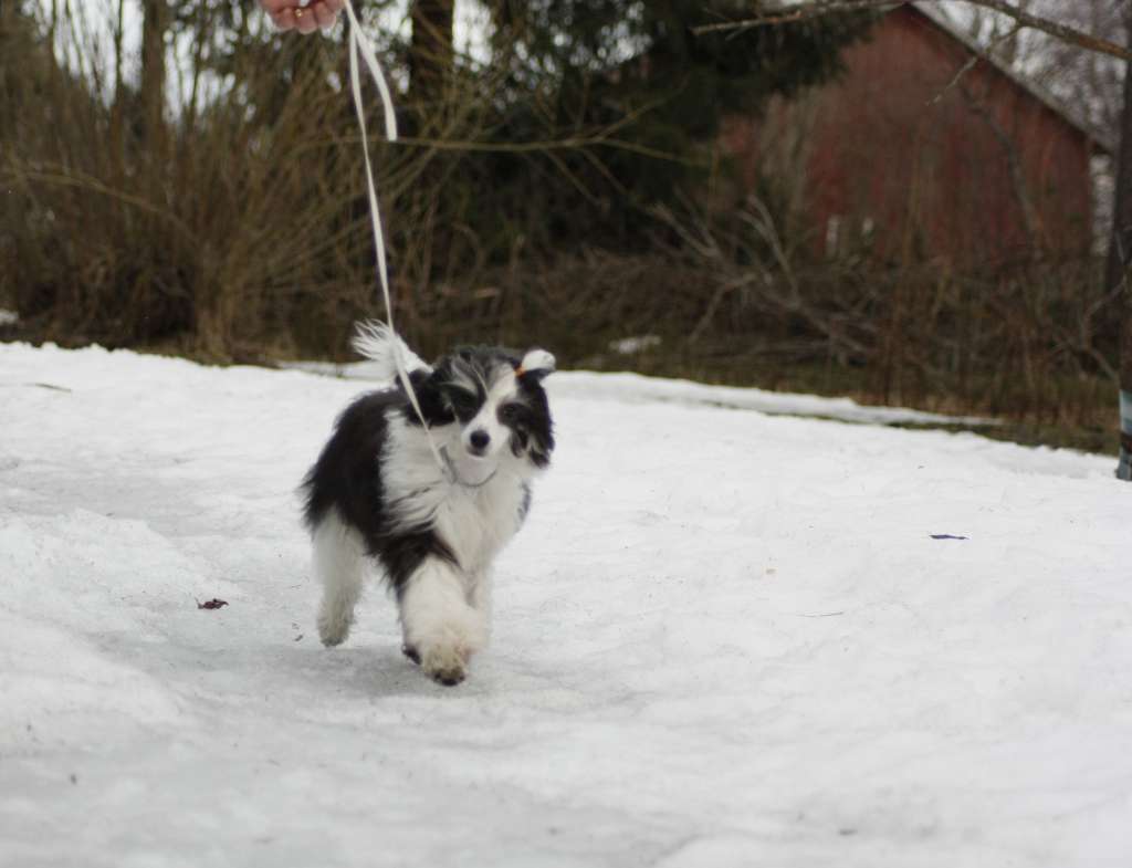 Pideraq's Inside Story