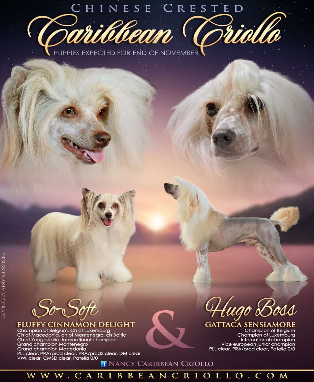 So-soft Fluffy Cinnamon Delight