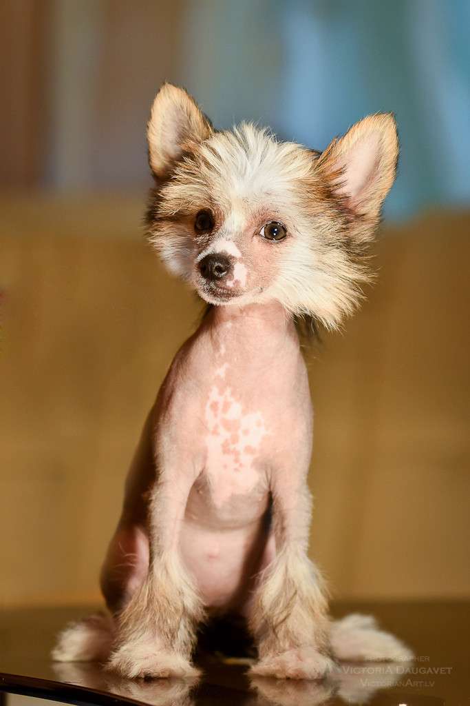 Matilda Exotic Baltic