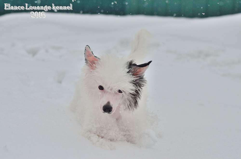 Elance Louange Praise Me Out Loud