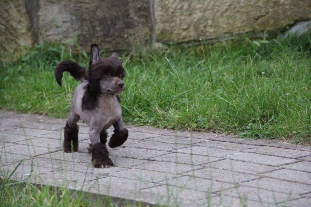 Felici Amici Enki Yo Elohim