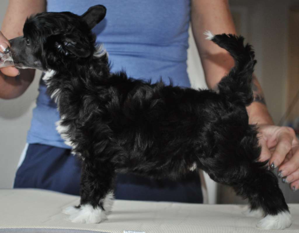 Bubbling Spirit Hero