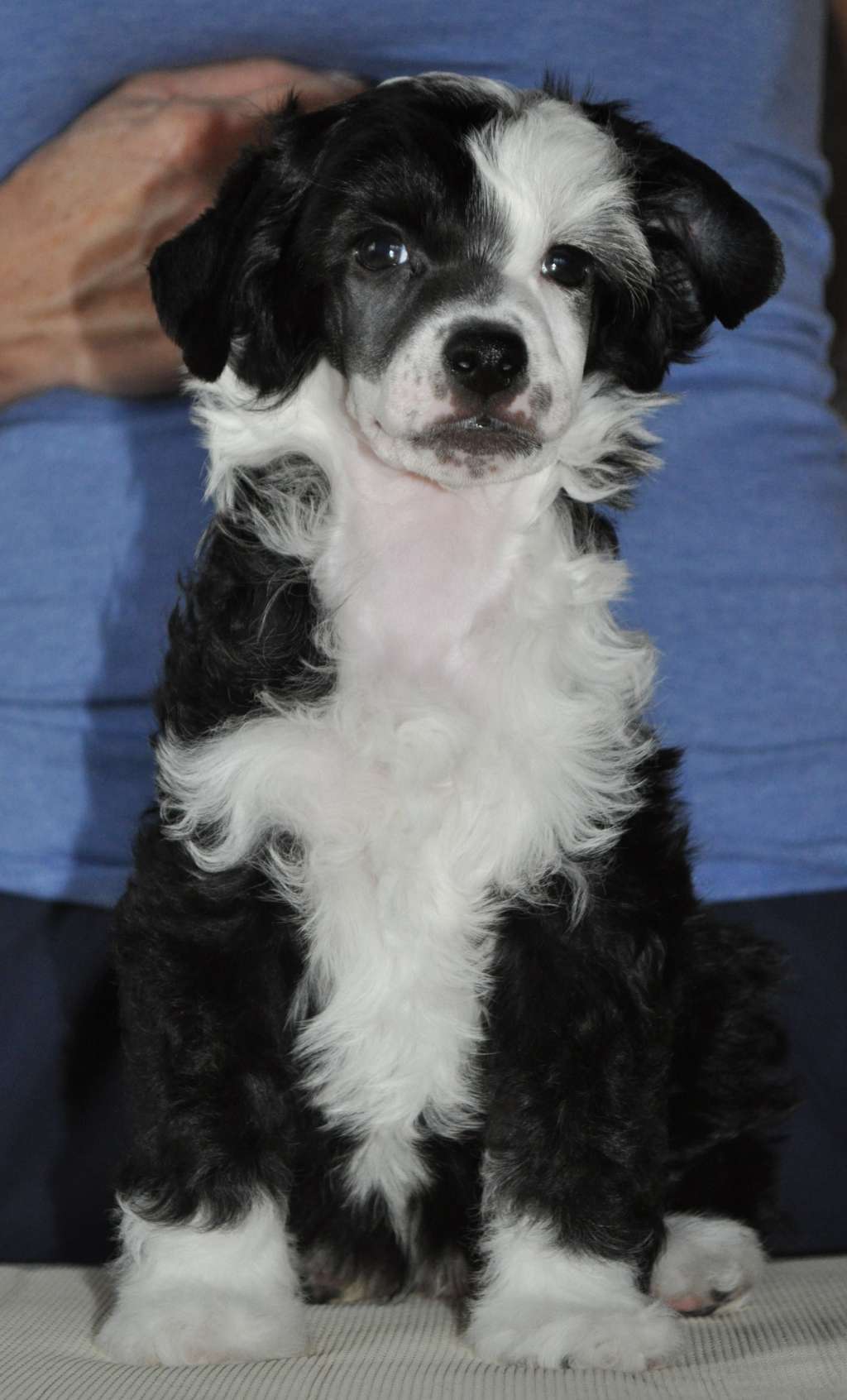 Bubbling Spirit Hellboy