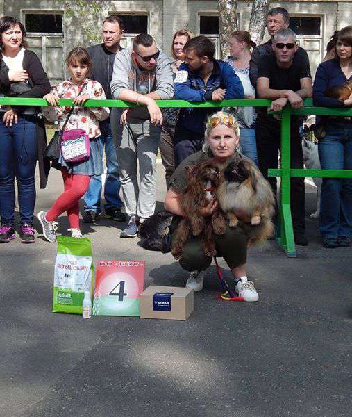 Nefritovji Budda Hortensia Impel ToLive