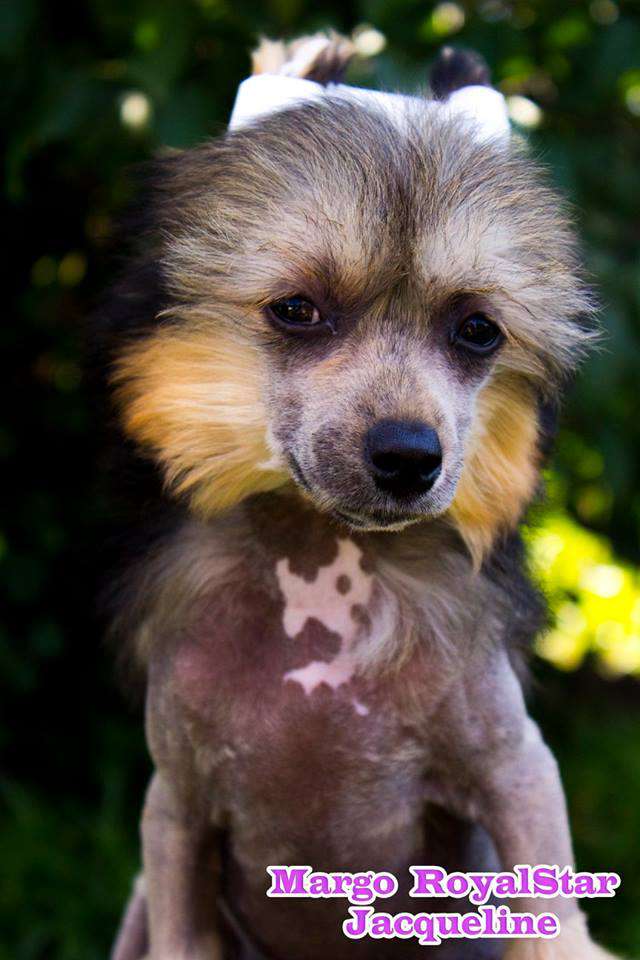 Margo RoyalStar Jacqueline