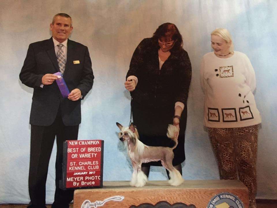 Magic Cresteds Bling it On