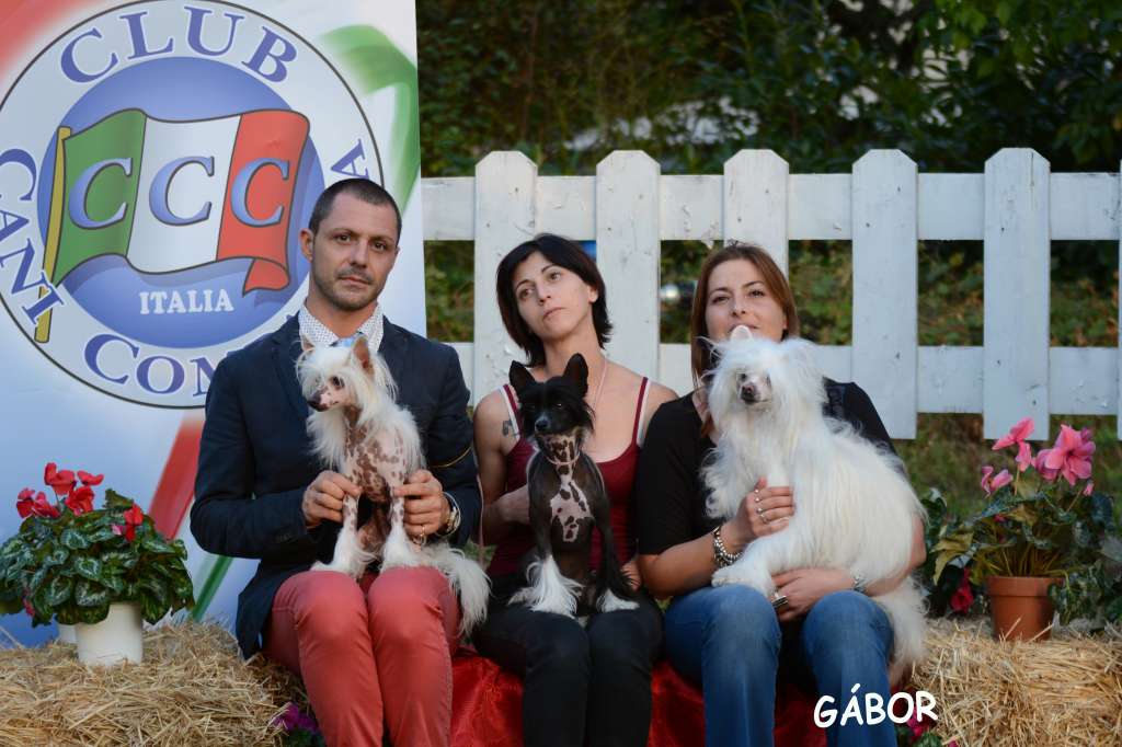 Jr. It Ch. Dakota Rose Sign O' The Times