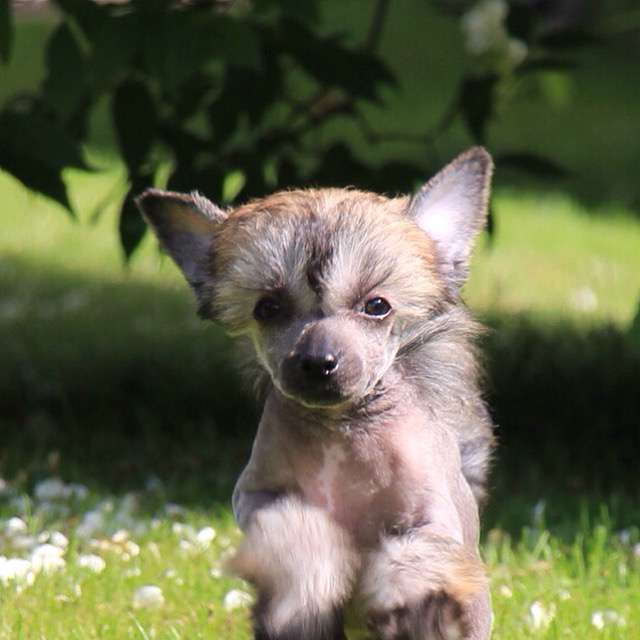 Only The Best Afrodite My Love