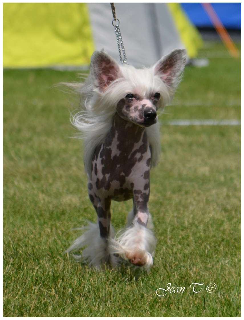 Only The Best Apollon My Sunshine