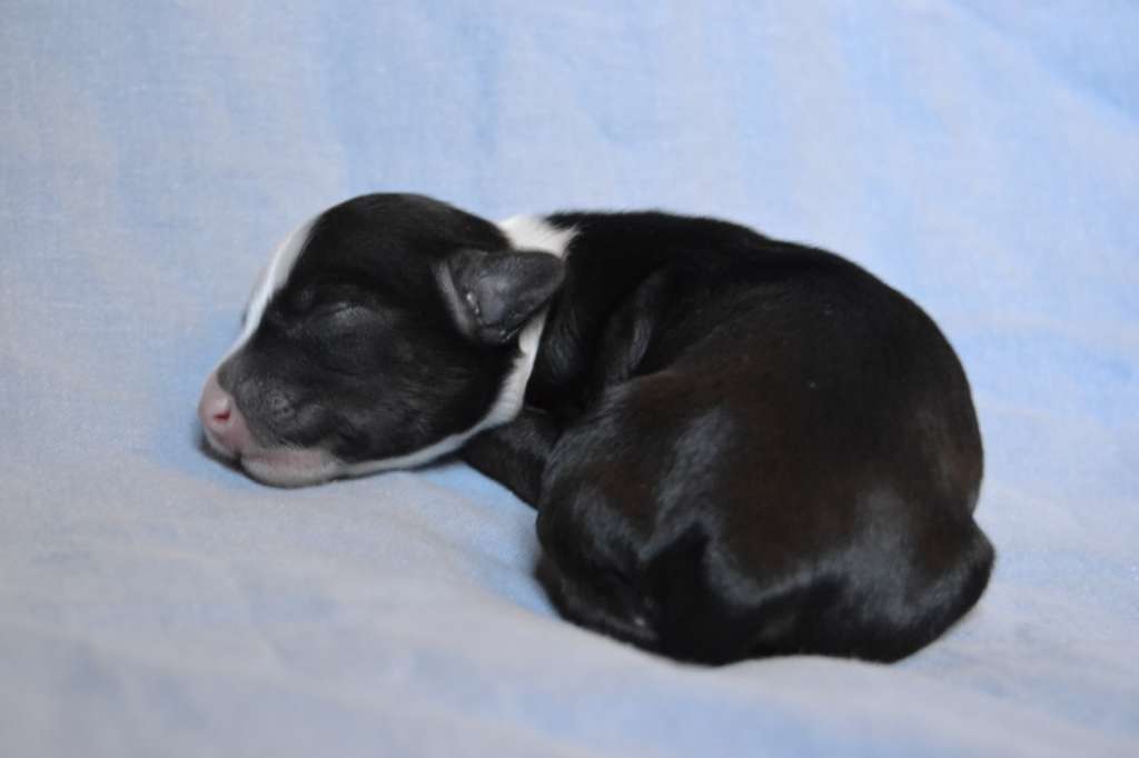 Only The Best Zeus My King