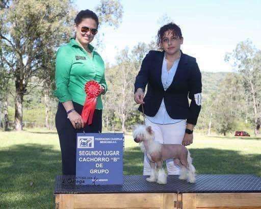 D'Rapakan Señorita Esperanza