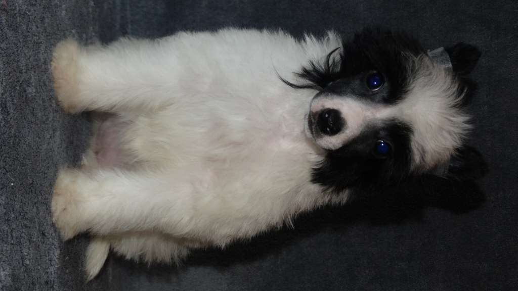 Once Upon A Dream Perfect Christina