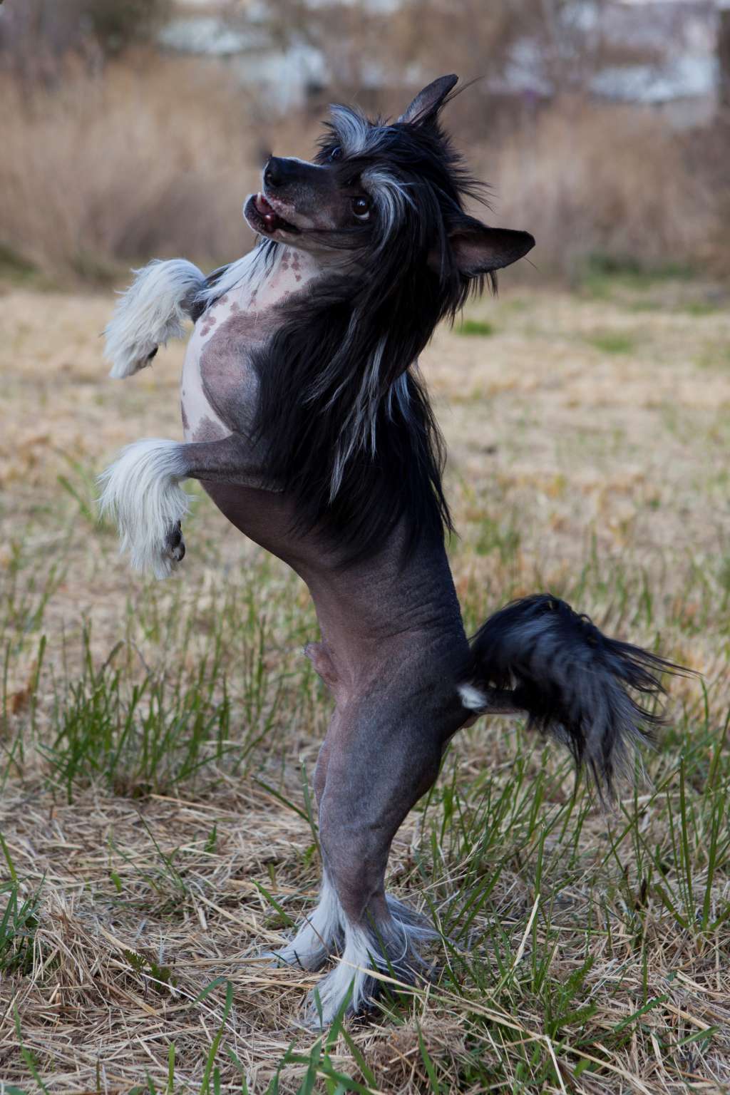 First N Foremost Heybett