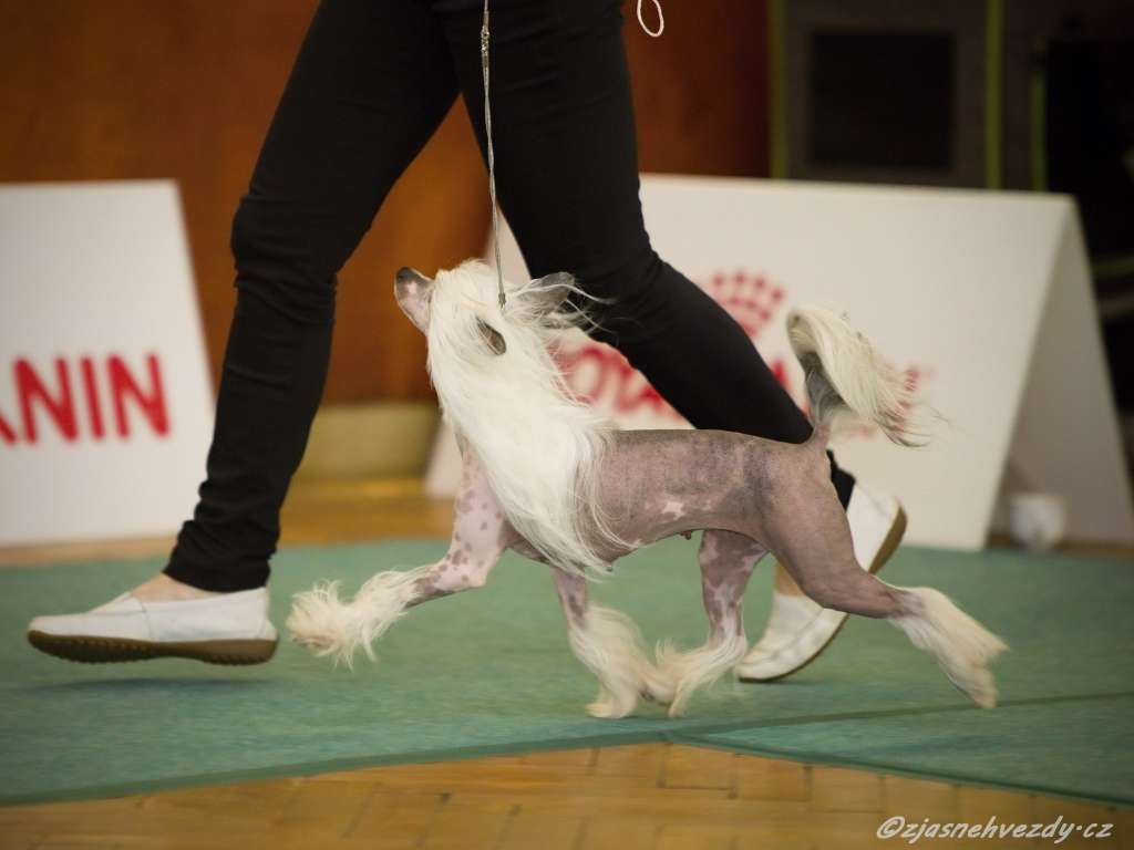 Femme Fatale Heybett