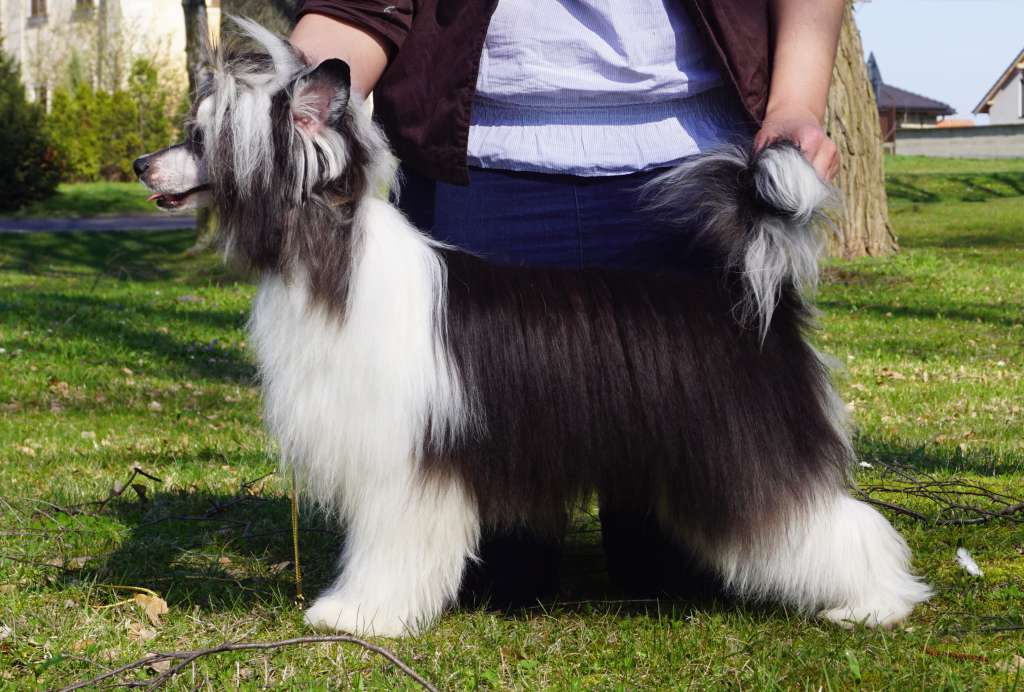 Fifty Shades Heybett