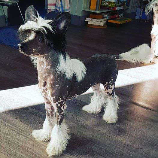 MhaLhi's I am All That And More