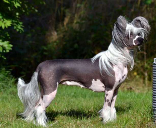 MhaLhi's I am Hot You Are Not