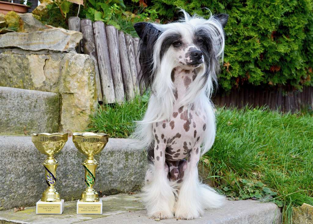 I love you z Andelovy dlane