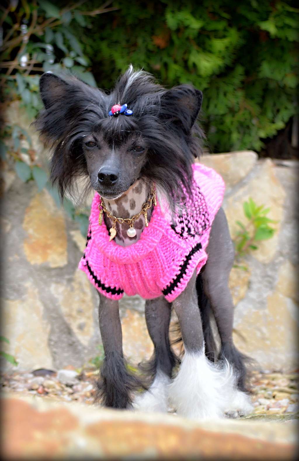 Isabelle Mandy z Andelovy dlane