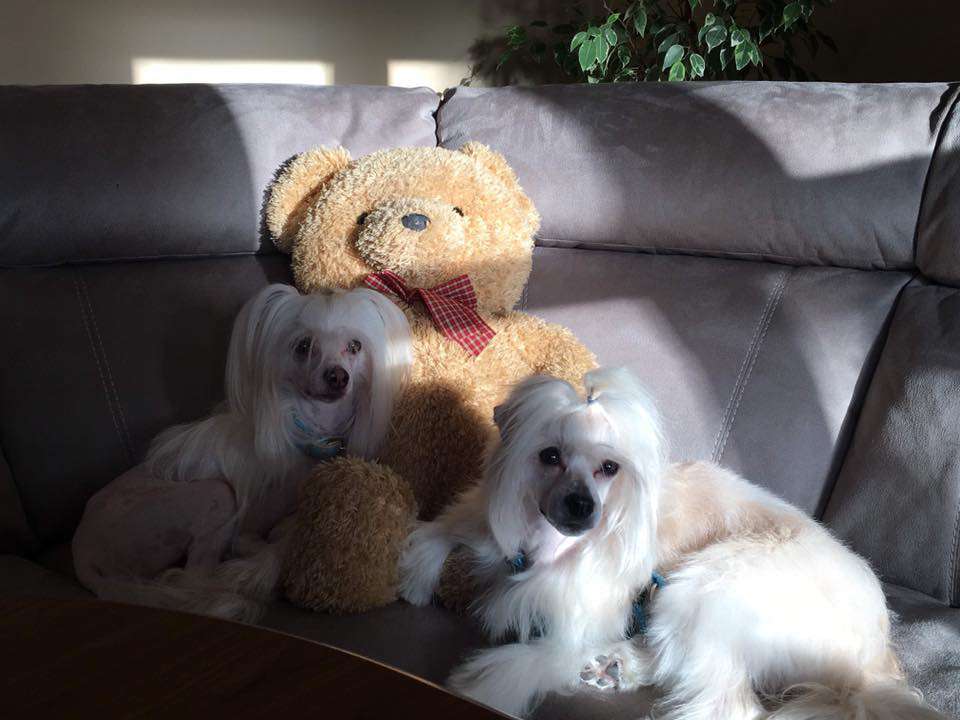 Sol'tanto Dream Time