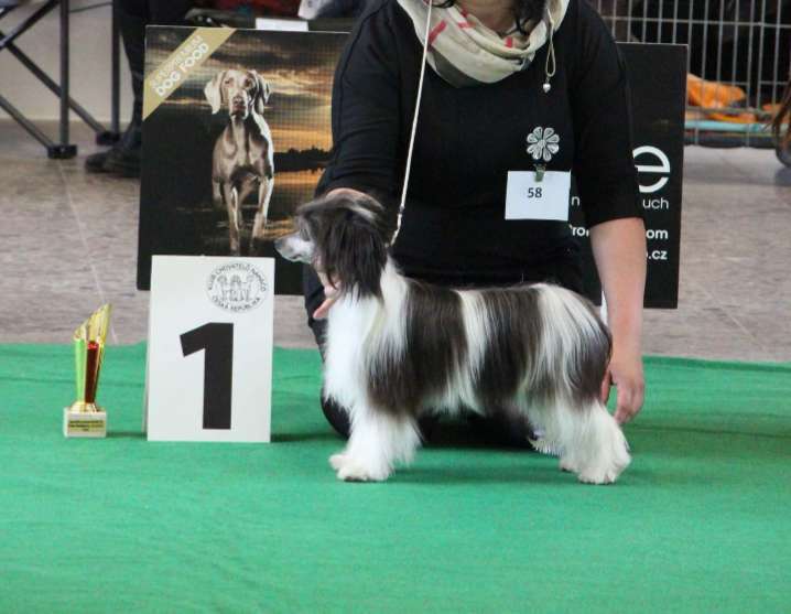 Talltales From Russia with Love