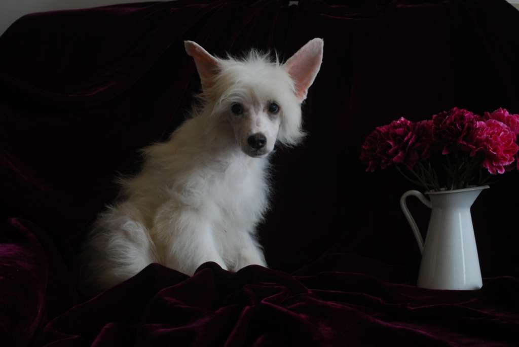 Just a Pretty-Pretty Epocha