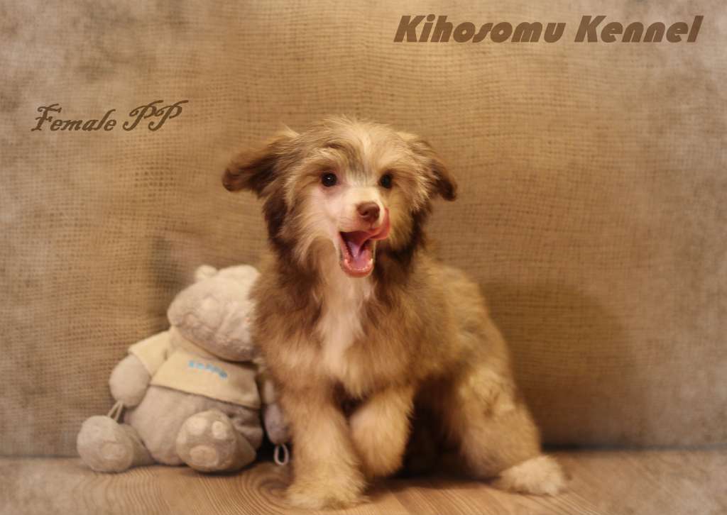 Kihosomu Jeneva Beauty