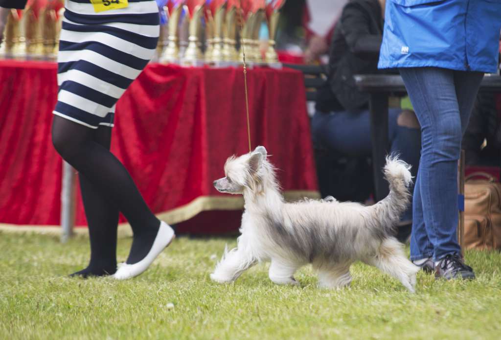 Marppulan Be My Lover