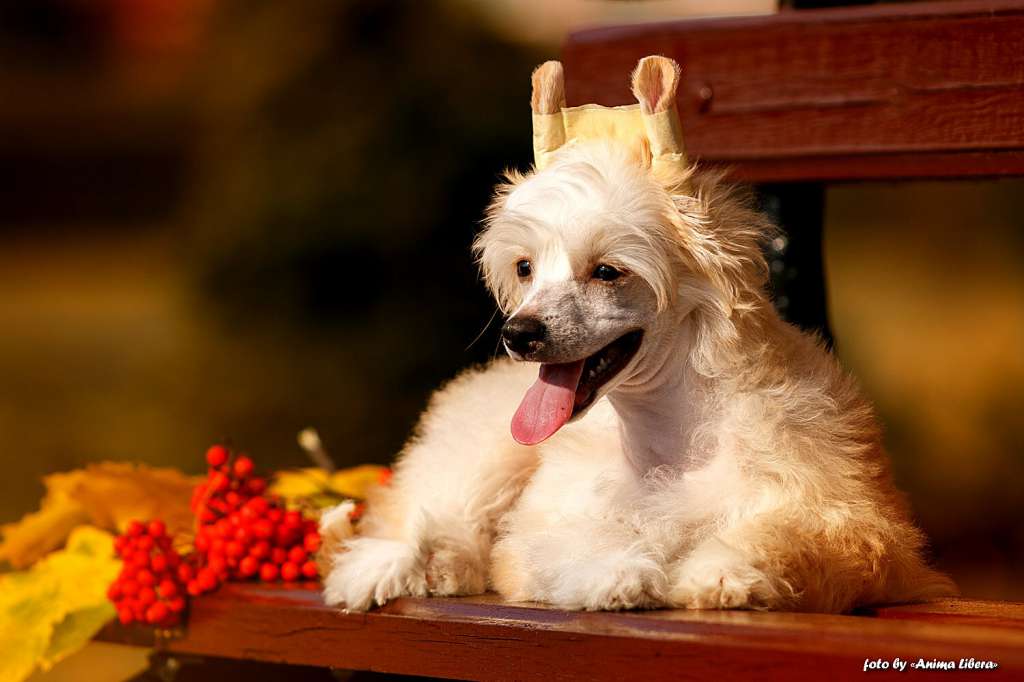 Sol'tanto Endless Sea