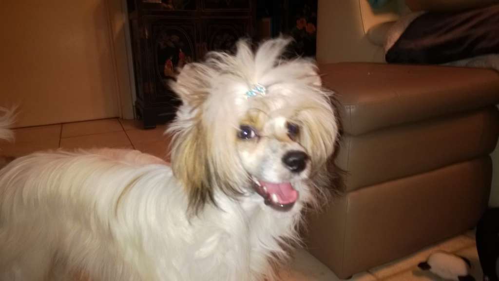 Il était une fois Pancake of sin