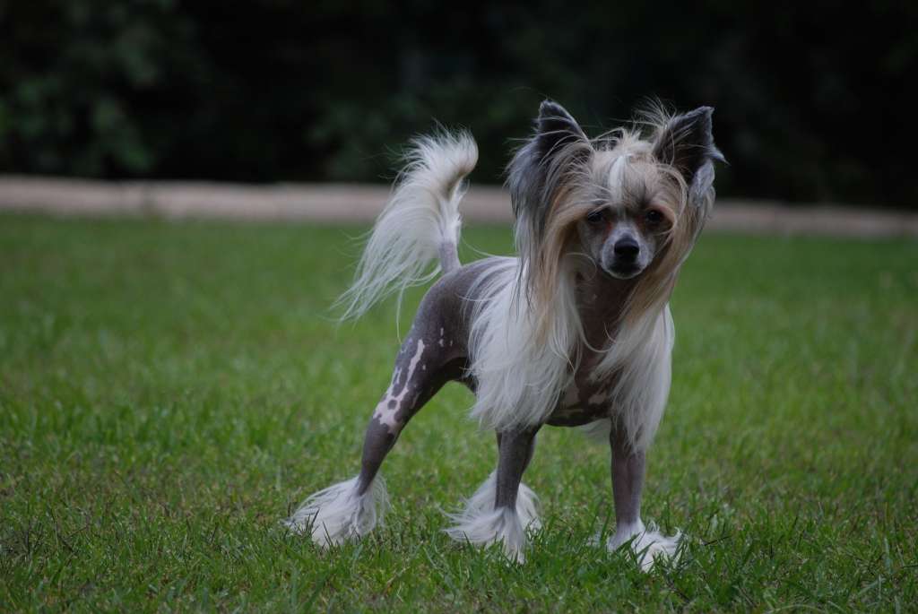 Fundoklia-völgyi Kaszanics Mitch Beach