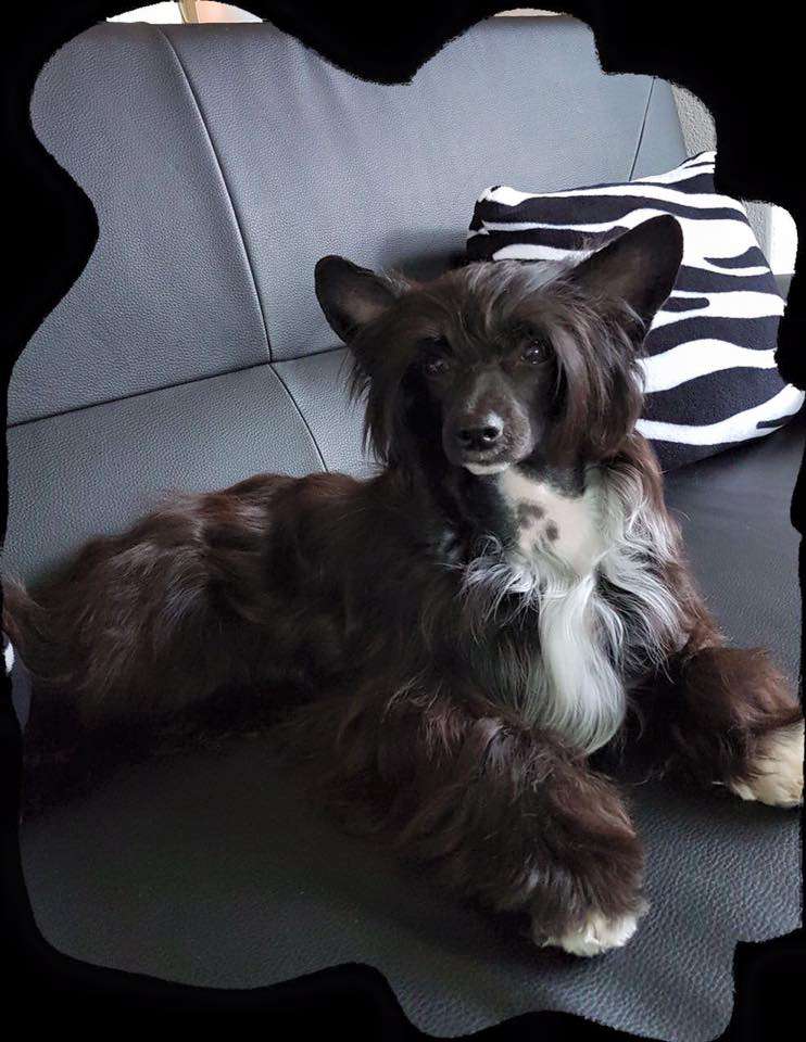 U Cant Touch This Princes de la Roses