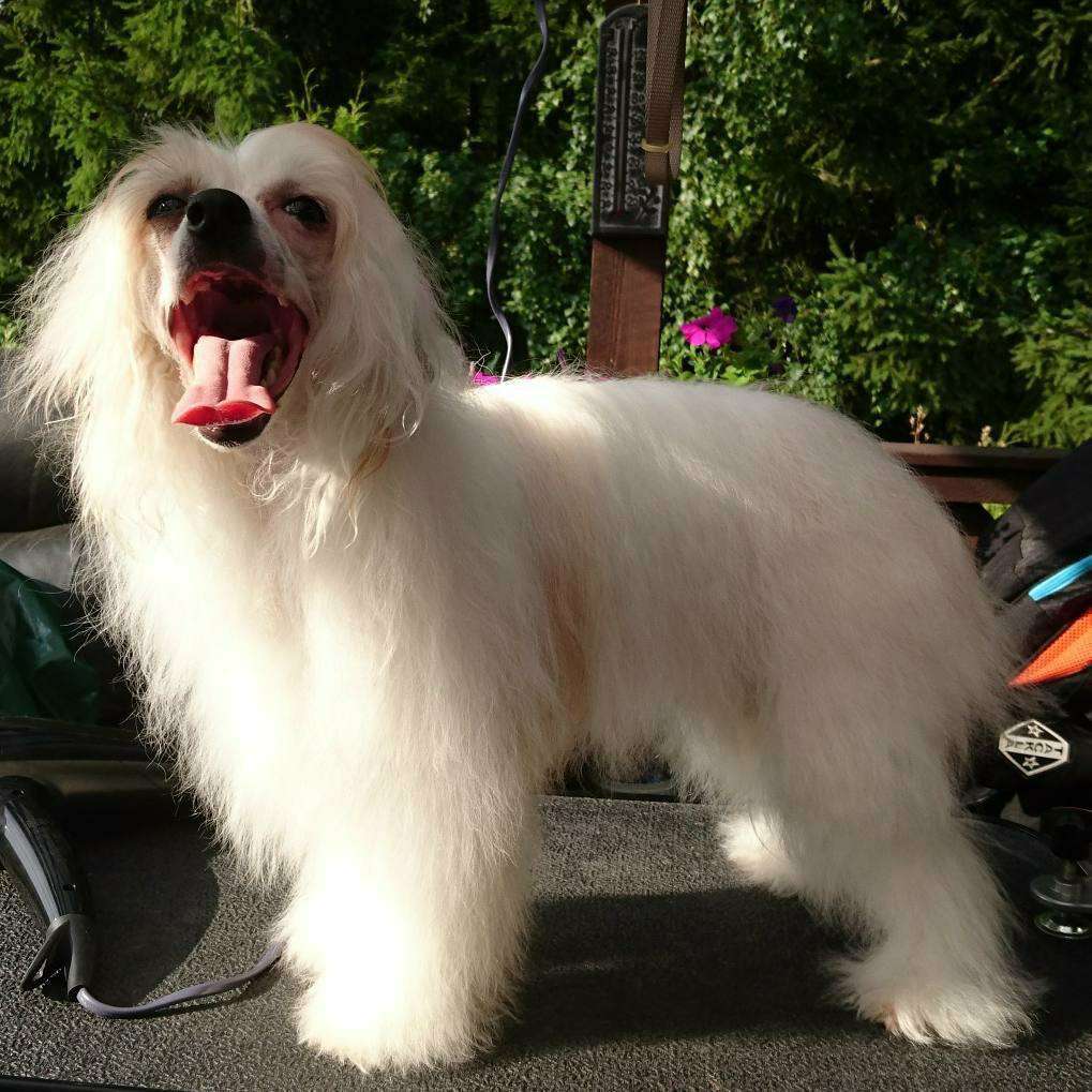 Kaitlin Love Me Long