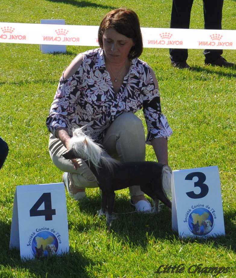 Madeleine Little Champs