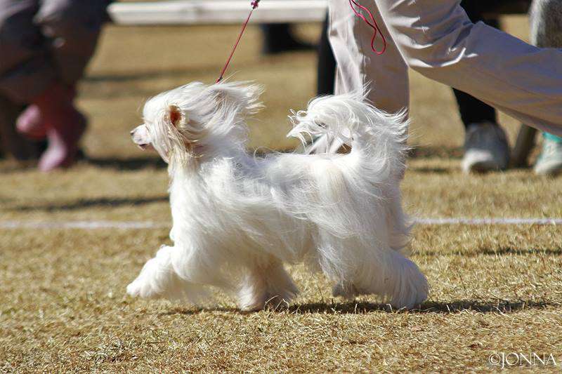 Pinky Twinky Turning The Page