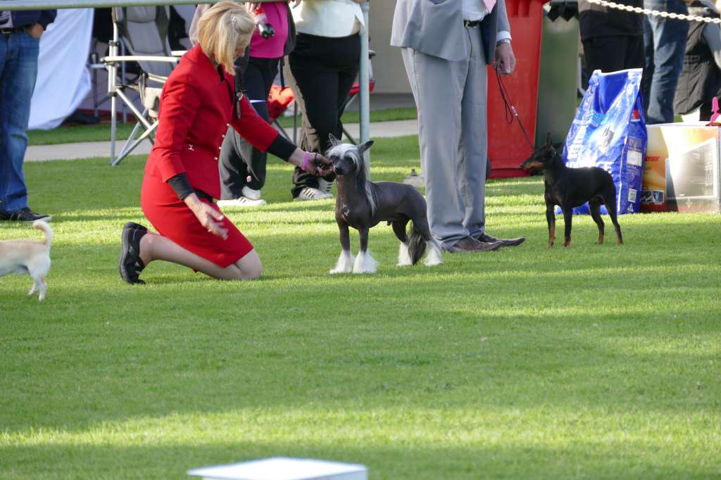 Lakenta Ride The Storm Trooper