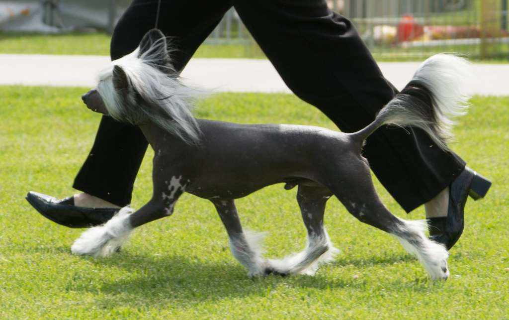 Glanore Storm Breaker