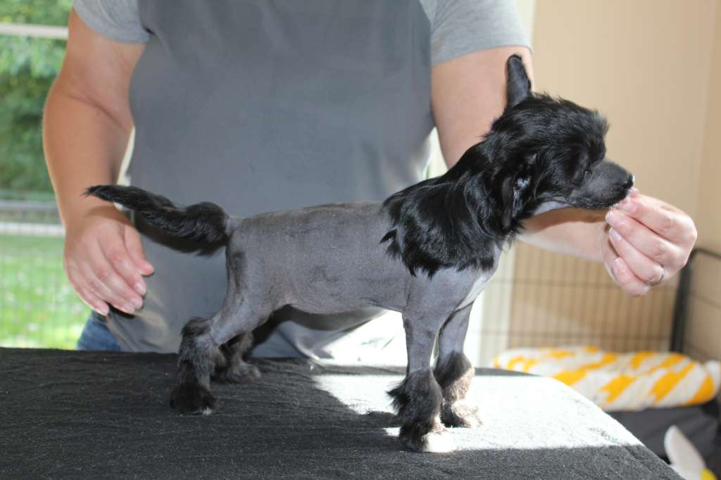 Hottie Tots Did It For You