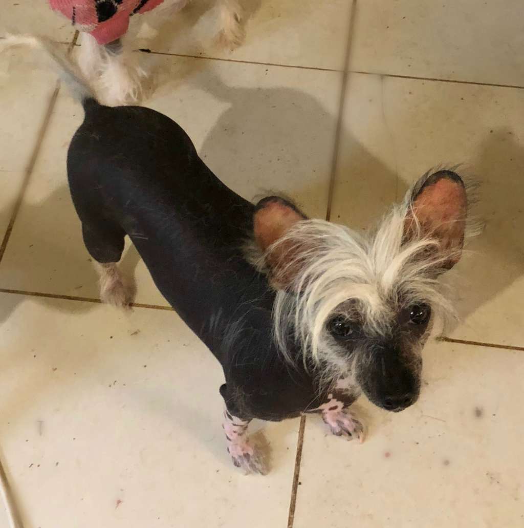 Entourage Stole Ya Thunder